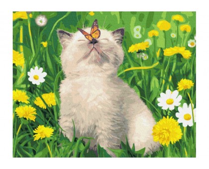 Картина по номерам "Котик з метеликом на носі"