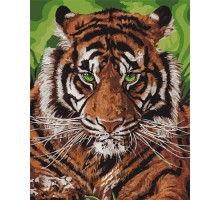 Картина по номерам "Непереможний тигр" КНО4143