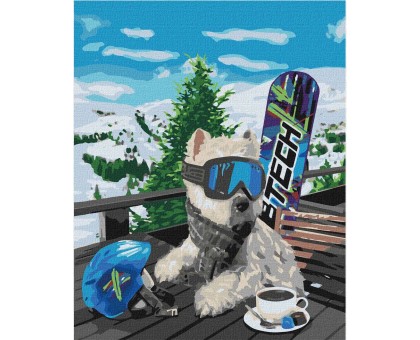 Картина по номерам "Сноубордист" KHO4171 