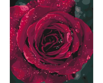 Картина по номерам "Троянда" КНО3038