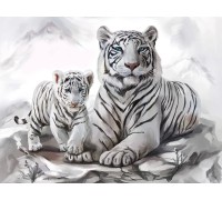 Алмазна картина HX011 Білі тигри, розміром 30х40 см