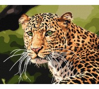 Набір для розпису по номерах. Зеленоокий леопард 40х50см