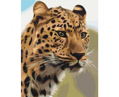 Картина за номерами: Плямистий леопард 40*50