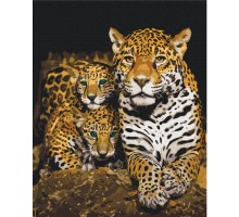 Картина за номерами: Нічні леопарди 40*50