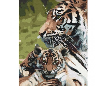 Картина за номерами: Сім'я тигрів 40*50