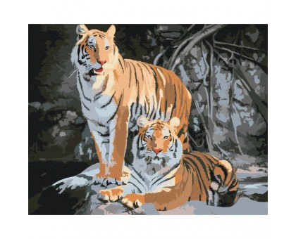 Картина за номерами: Дикі тигри 40*50