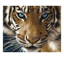 Картина за номерами: Погляд тигра 40*50