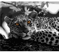 Набір для розпису по номерах Чорно-білий леопард Strateg розміром 40х50 см (GS051)