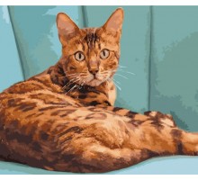 Набір для розпису по номерах Леопардова кішка Strateg розміром 40х50 см (GS252)