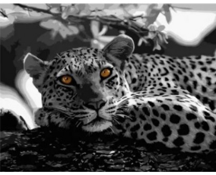 Набір для розпису по номерах Очі леопарда Strateg розміром 40х50 см (DY008)