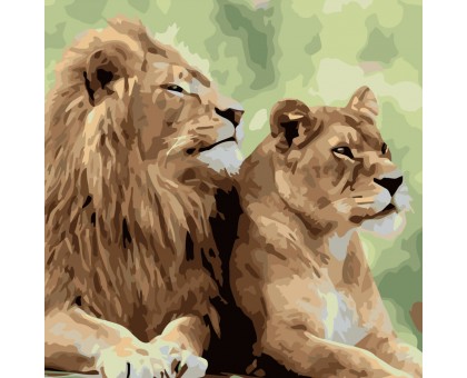 Набір для розпису по номерах Подружжя левів Strateg розміром 40х40 см (SK003)