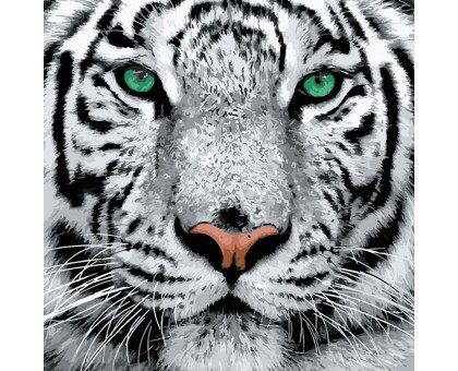 Набір для розпису по номерах Білий тигр Strateg розміром 40х40 см (SK023)