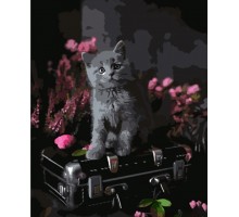 Набір для розпису по номерах Сіре кошеня у квітах Strateg розміром 40х50 см (HH033)
