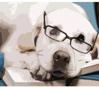 Набір для розпису по номерах Собака в окулярах Strateg розміром 40х50 см (HH089)
