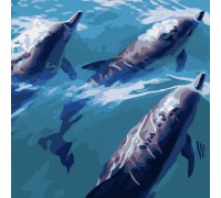 Набір для розпису по номерах Швидкі дельфіни Strateg розміром 40х40 см (SK034)