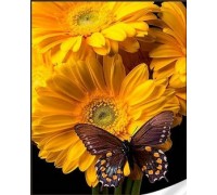 Набір для творчості алмазна картина Метелик на соняшнику Strateg розміром 30х40 см кв (HEG86117)